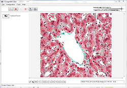 Vision System Cell Detection Vision System Cell Detection