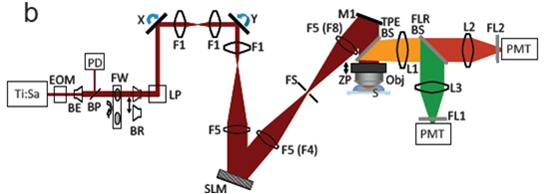 AOM_schematic